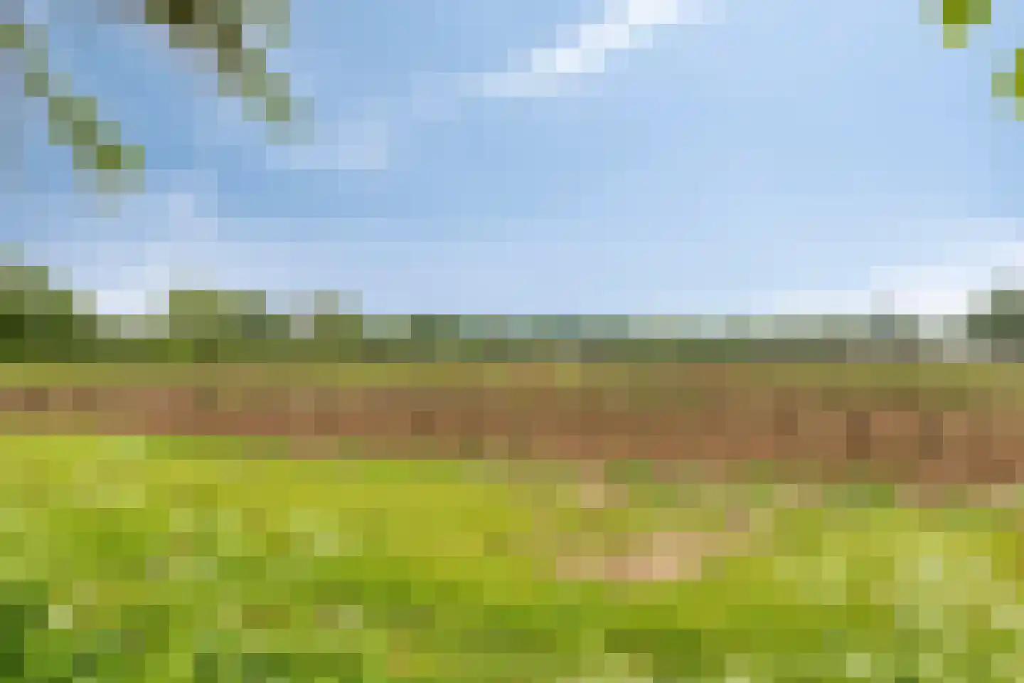 Haart 31 Beugen thumbnail 60