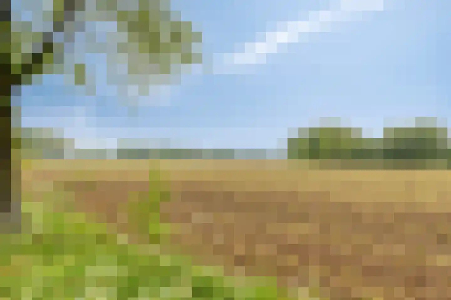 Haart 31 Beugen thumbnail 61