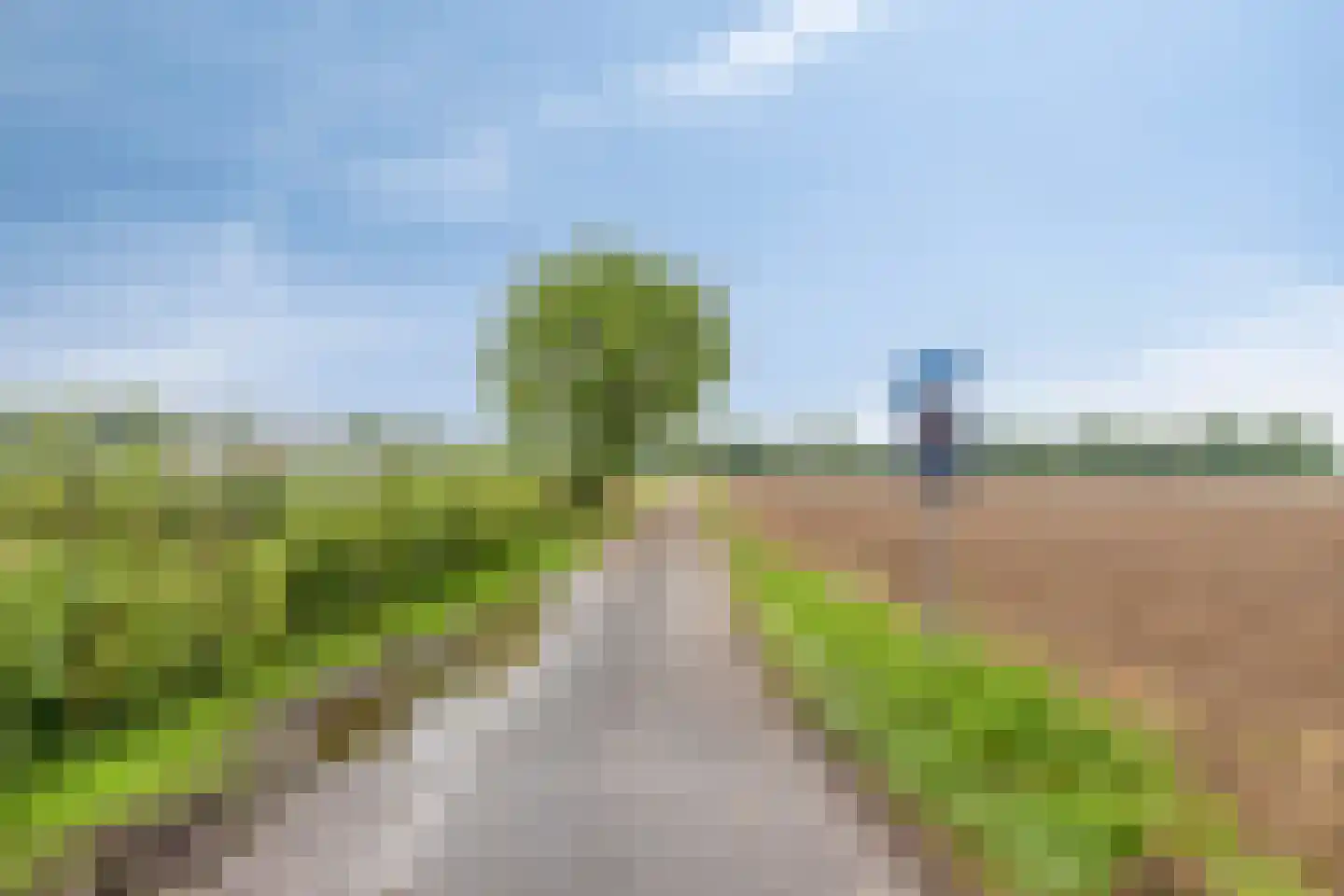 Haart 31 Beugen thumbnail 62