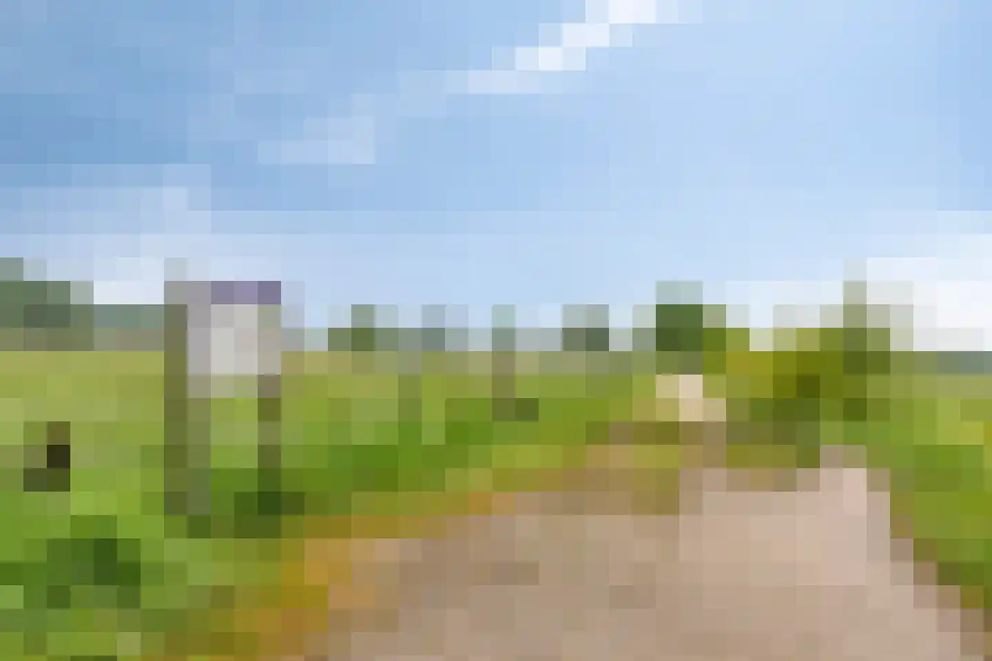 Haart 31 Beugen thumbnail 63