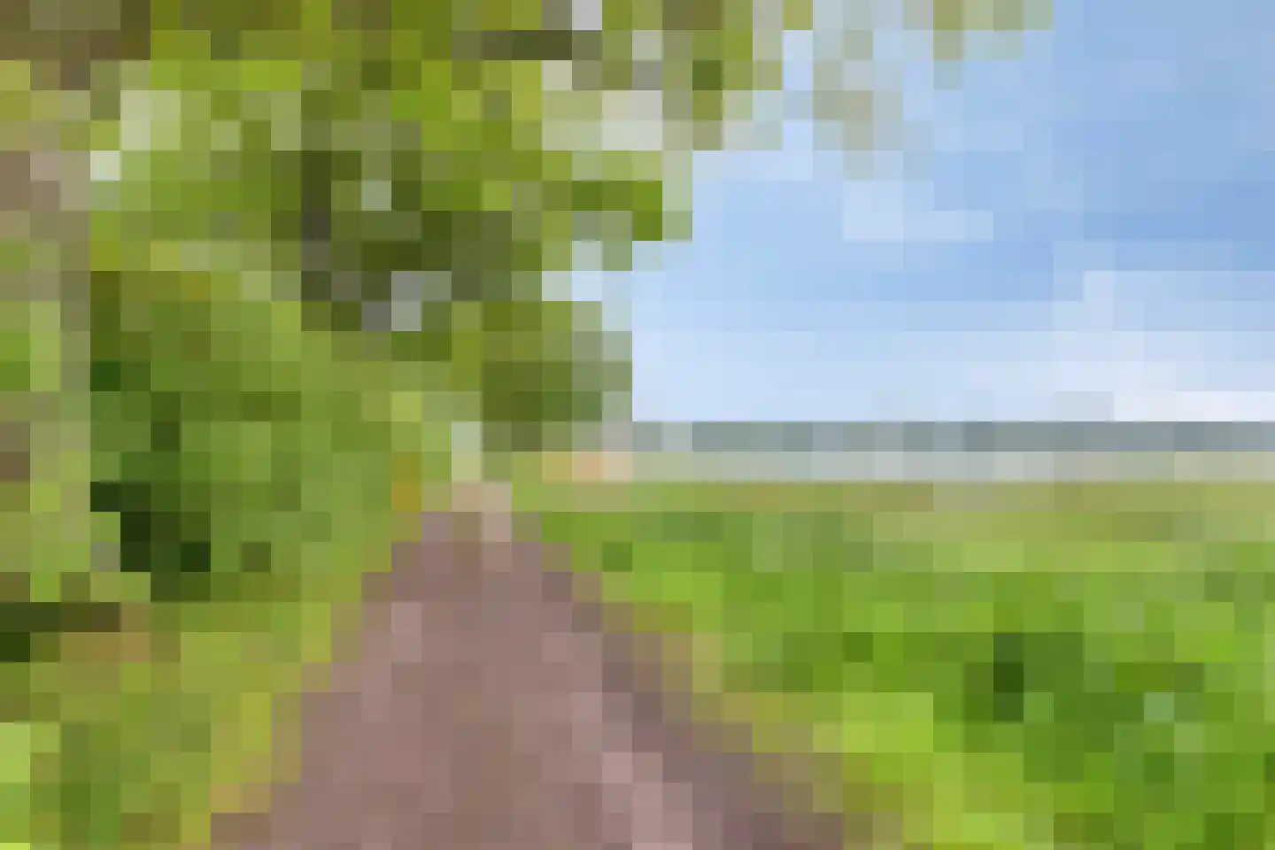 Haart 31 Beugen thumbnail 64