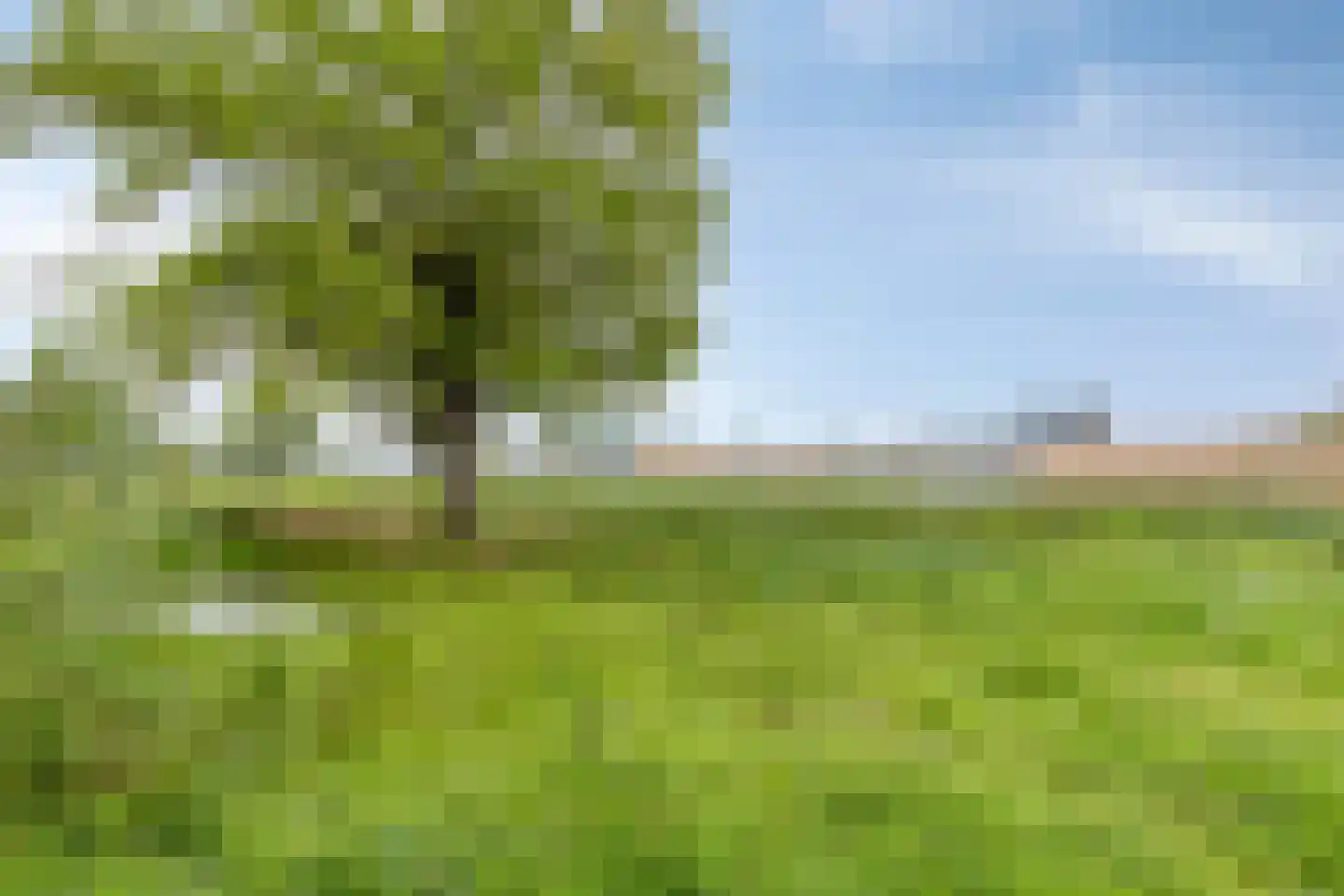 Haart 31 Beugen thumbnail 65