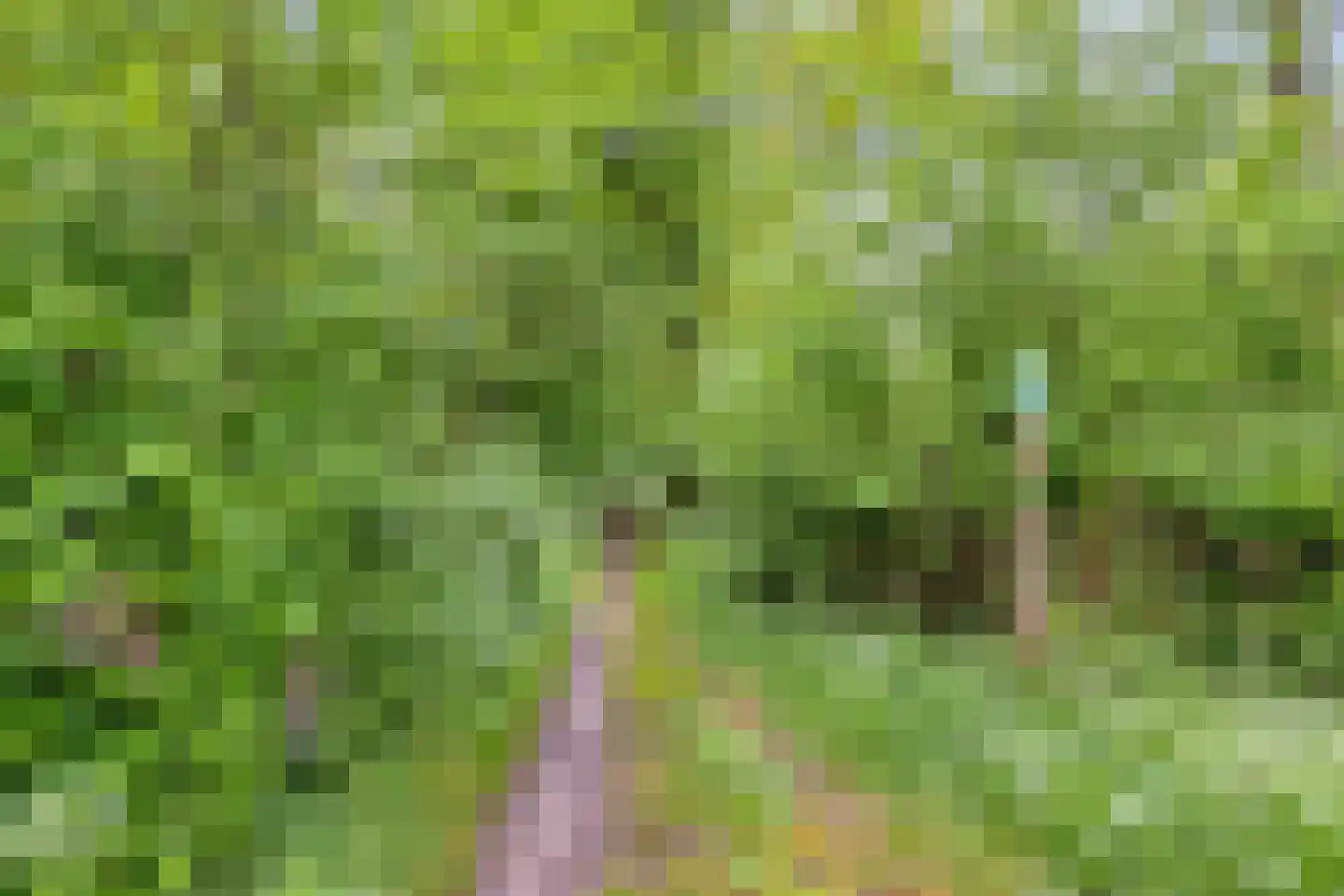 Haart 31 Beugen thumbnail 68