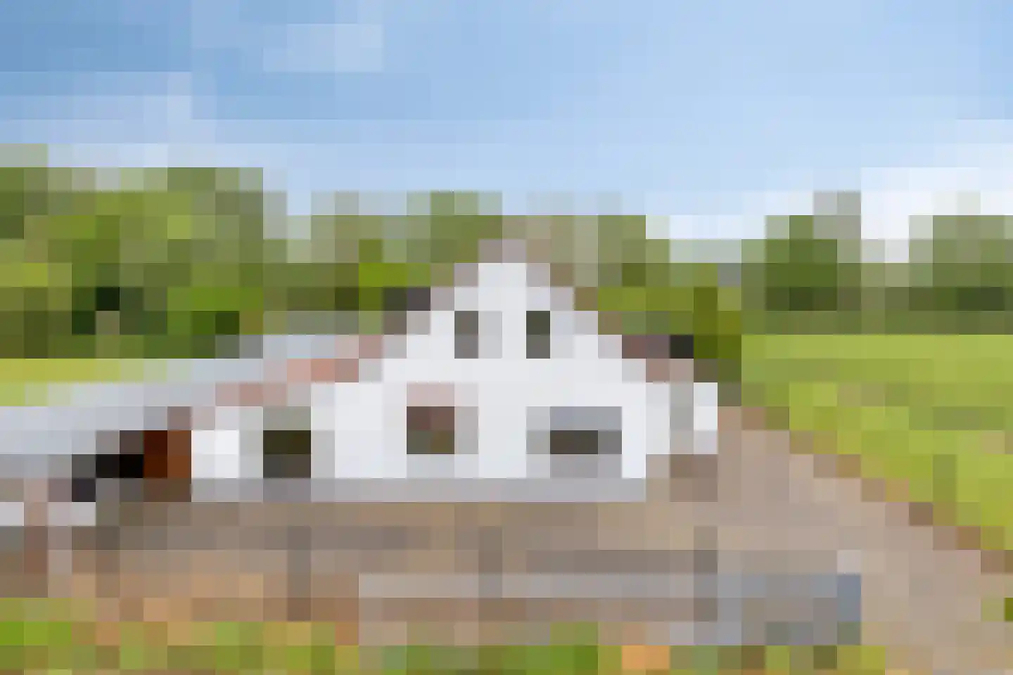 Haart 31 Beugen thumbnail 7