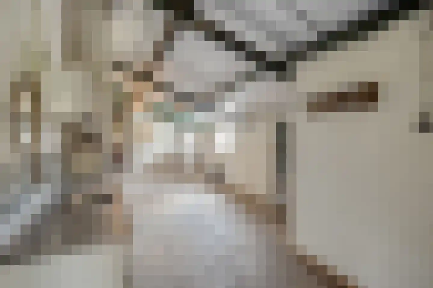Haart 6 Beugen thumbnail 24