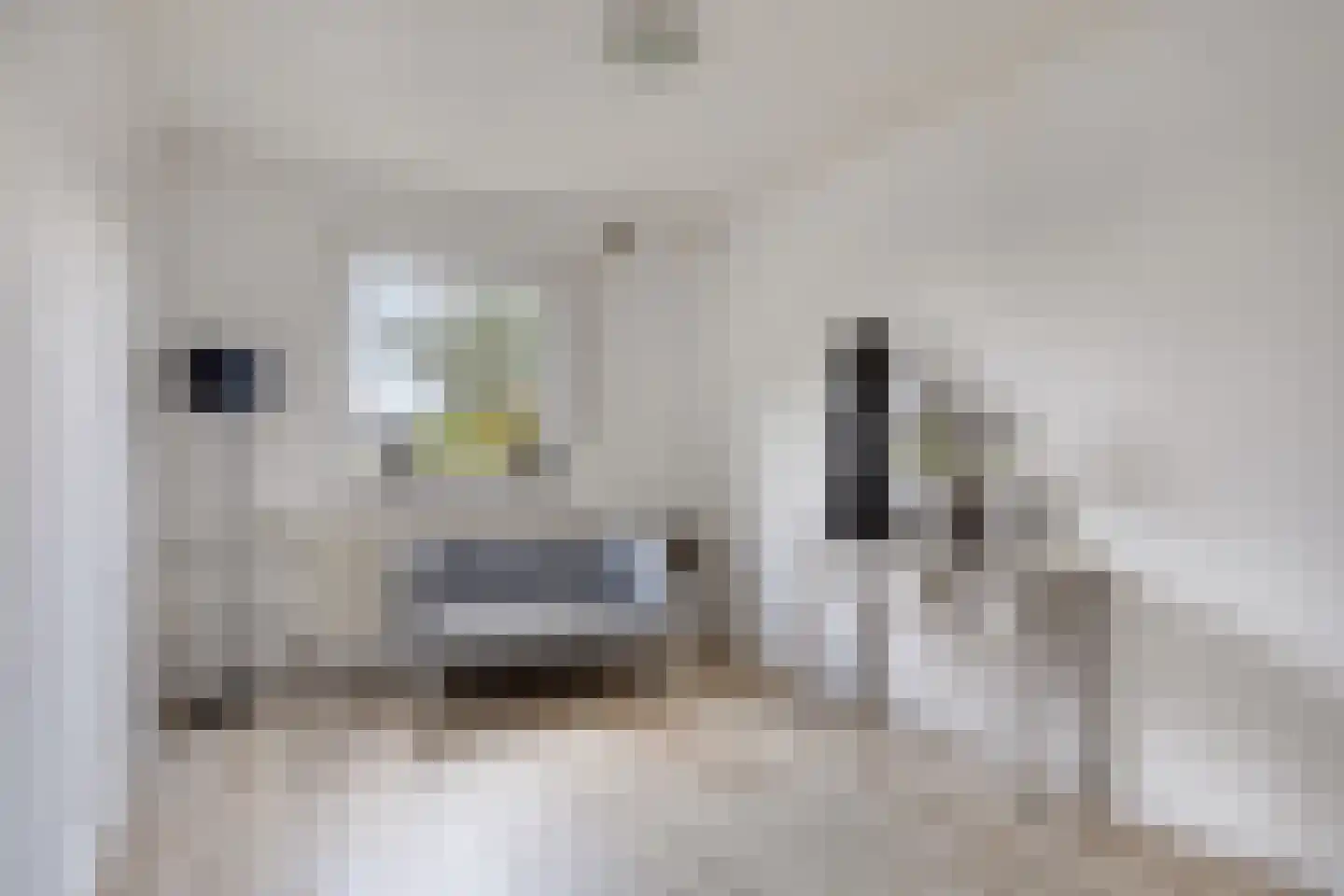 Haart 6 Beugen thumbnail 32