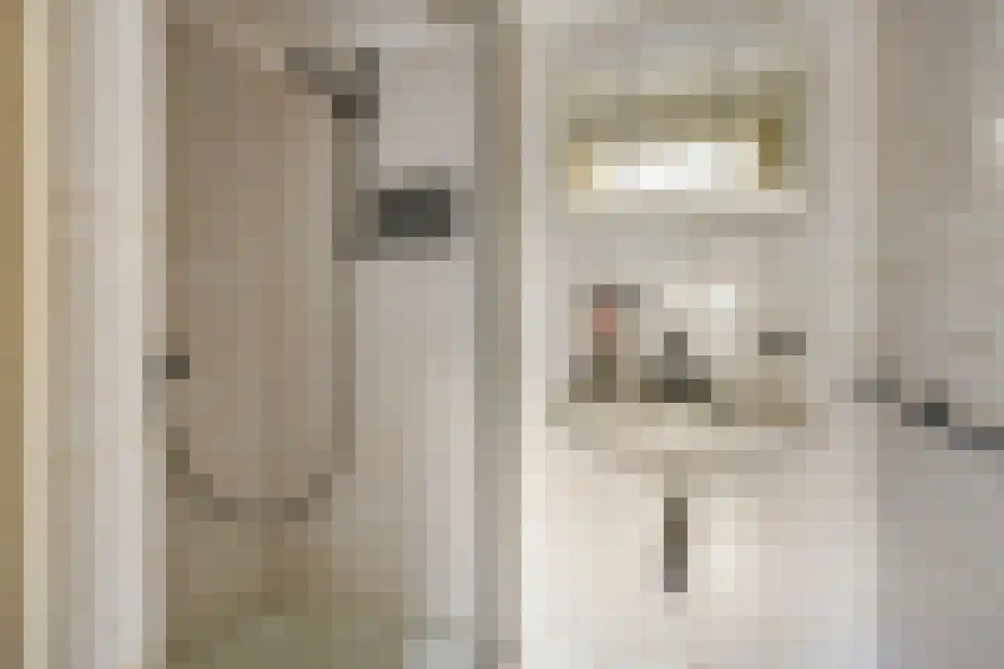 Haart 6 Beugen thumbnail 37