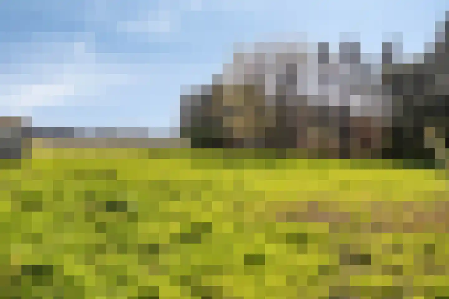 Haart 6 Beugen thumbnail 47