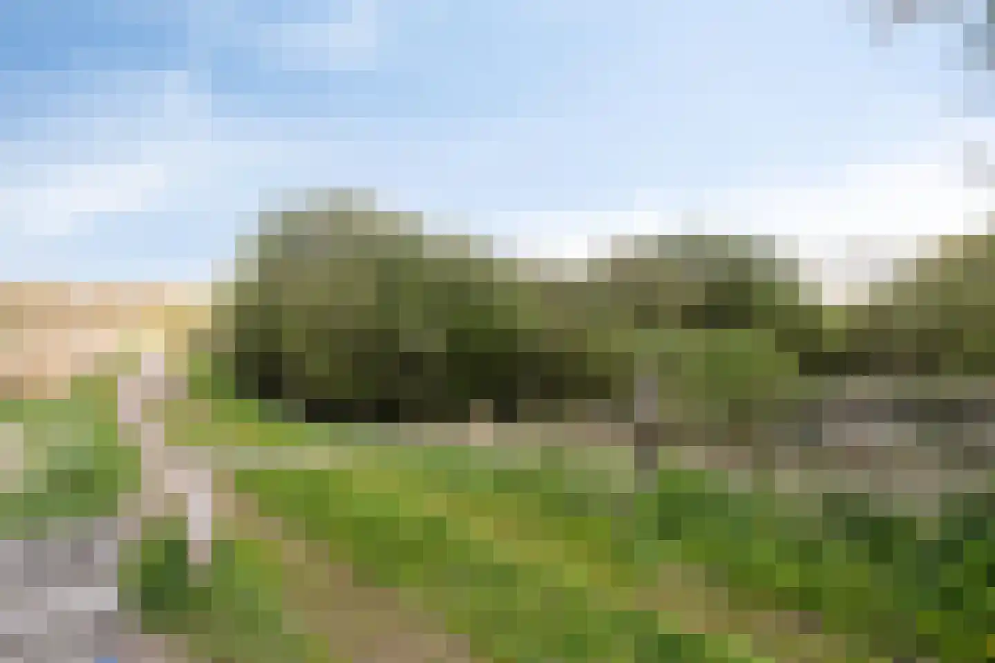 Haart 6 Beugen thumbnail 50
