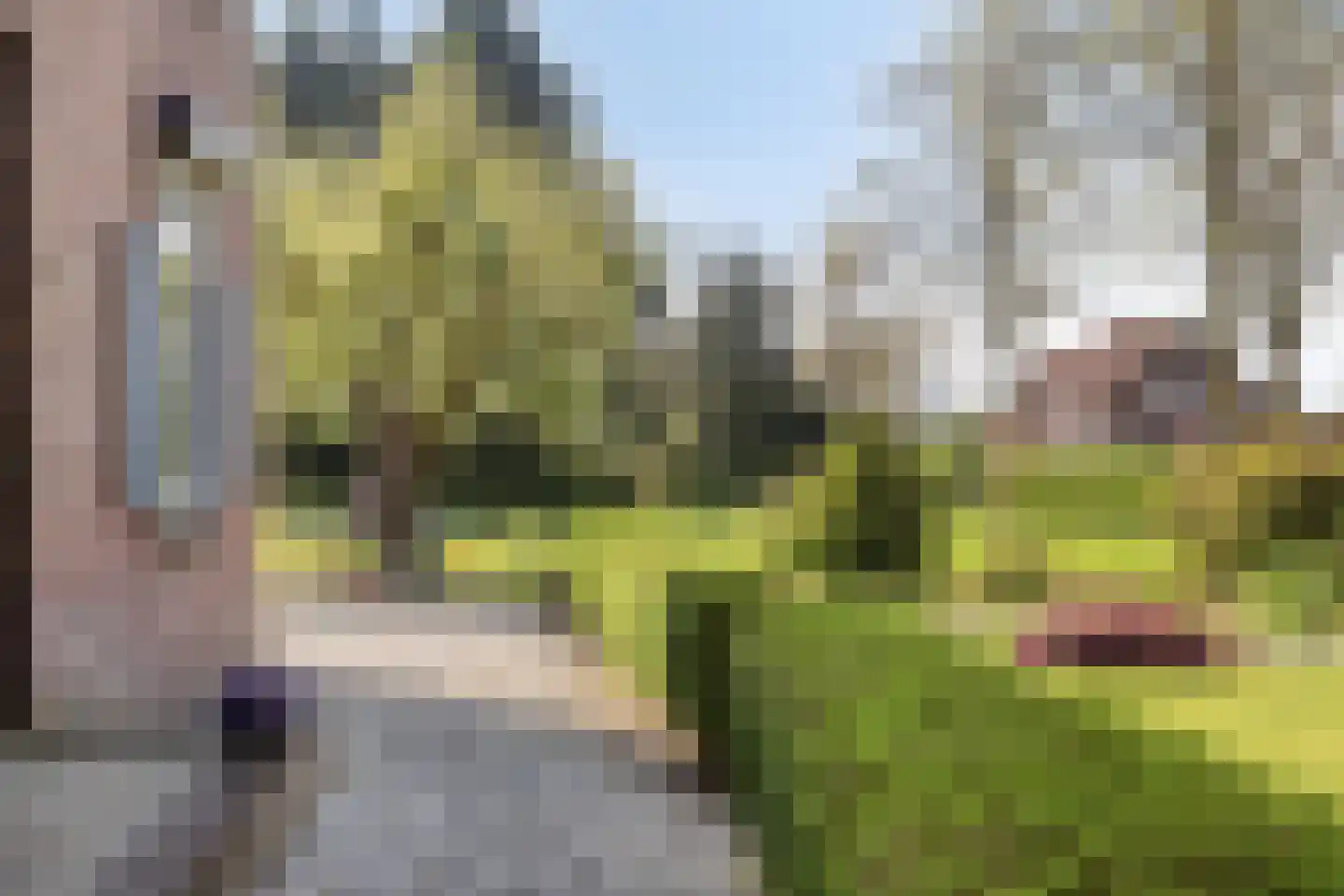 Haart 6 Beugen thumbnail 8