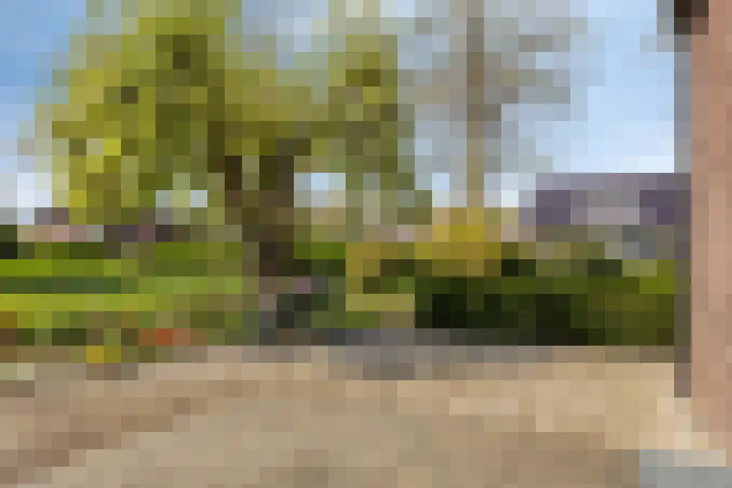 Haart 6 Beugen thumbnail 9