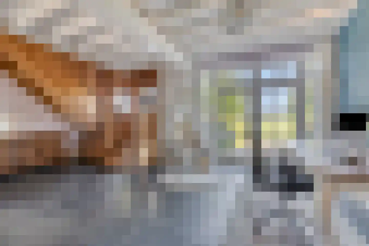 Haart 7 Beugen thumbnail 11