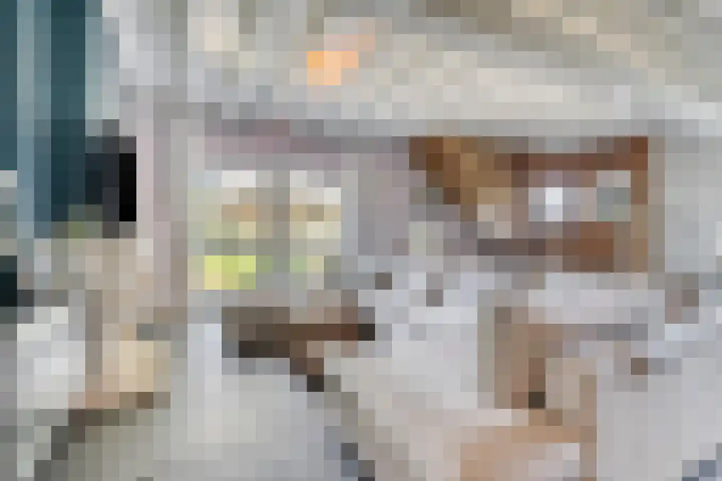 Haart 7 Beugen thumbnail 12