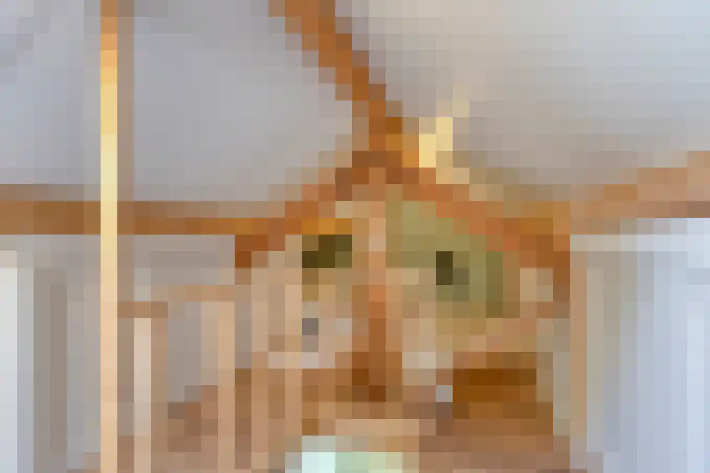 Haart 7 Beugen thumbnail 39