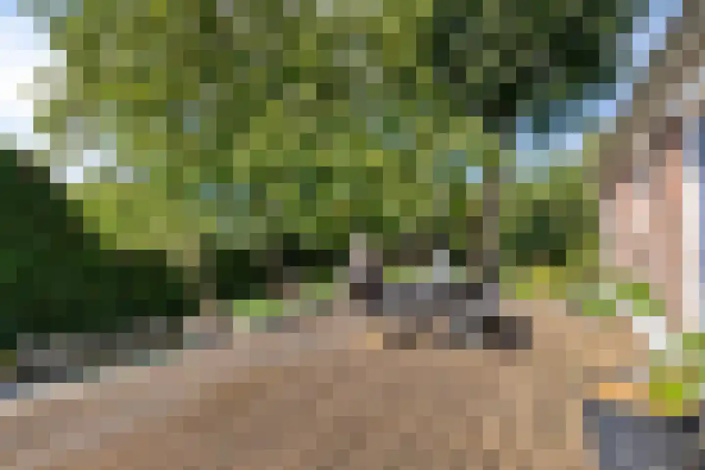 Haart 7 Beugen thumbnail 45