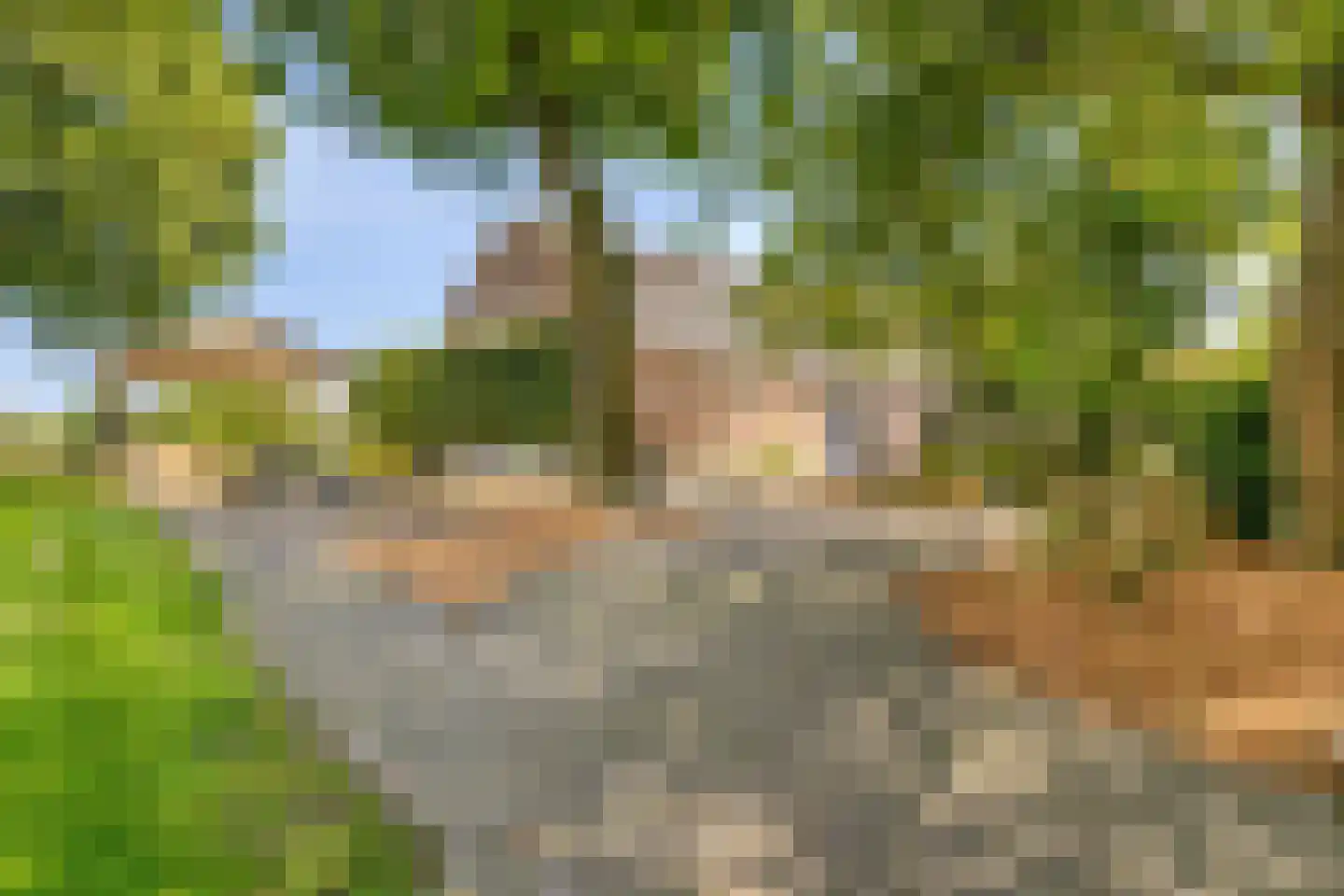 Haart 7 Beugen thumbnail 48