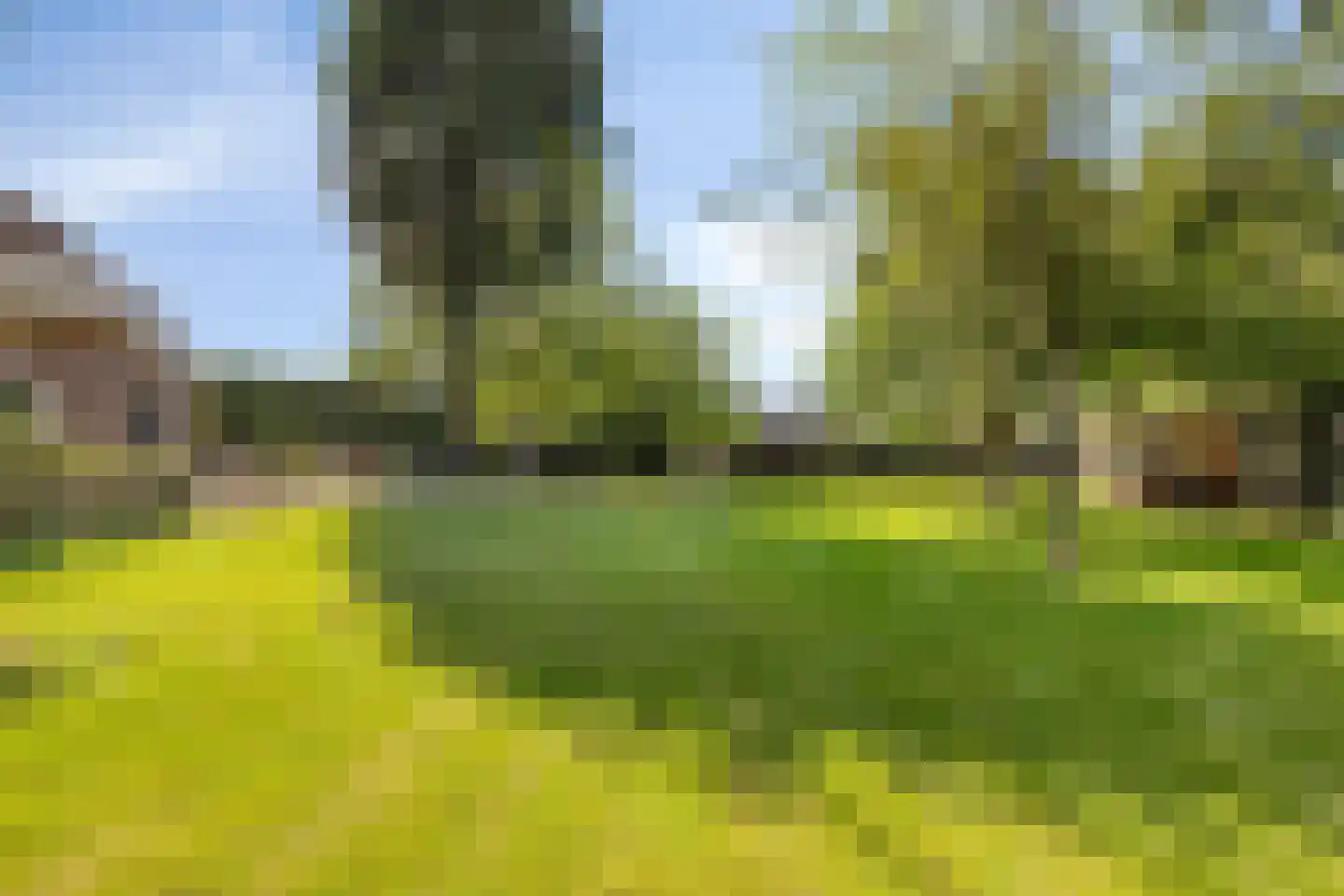 Haart 7 Beugen thumbnail 50