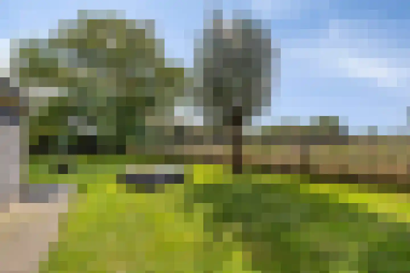 Haart 7 Beugen thumbnail 61