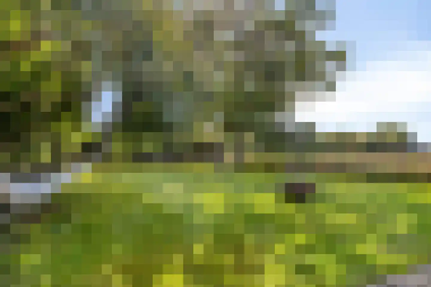 Haart 7 Beugen thumbnail 63