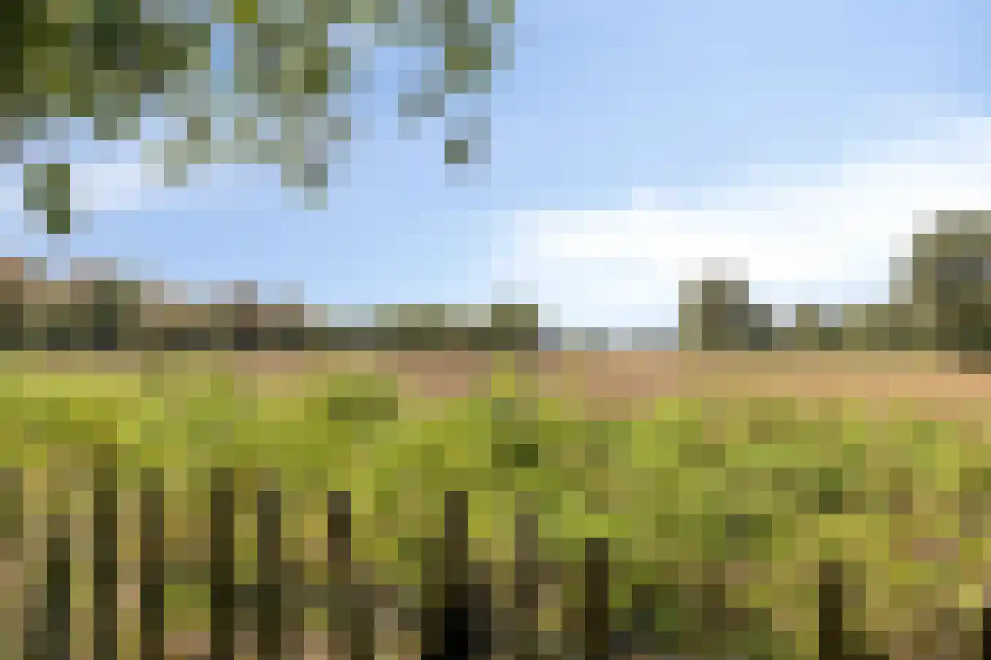 Haart 7 Beugen thumbnail 65