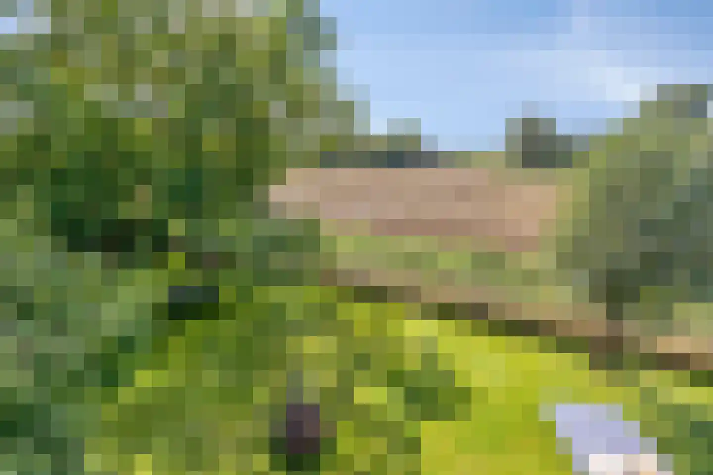 Haart 7 Beugen thumbnail 66