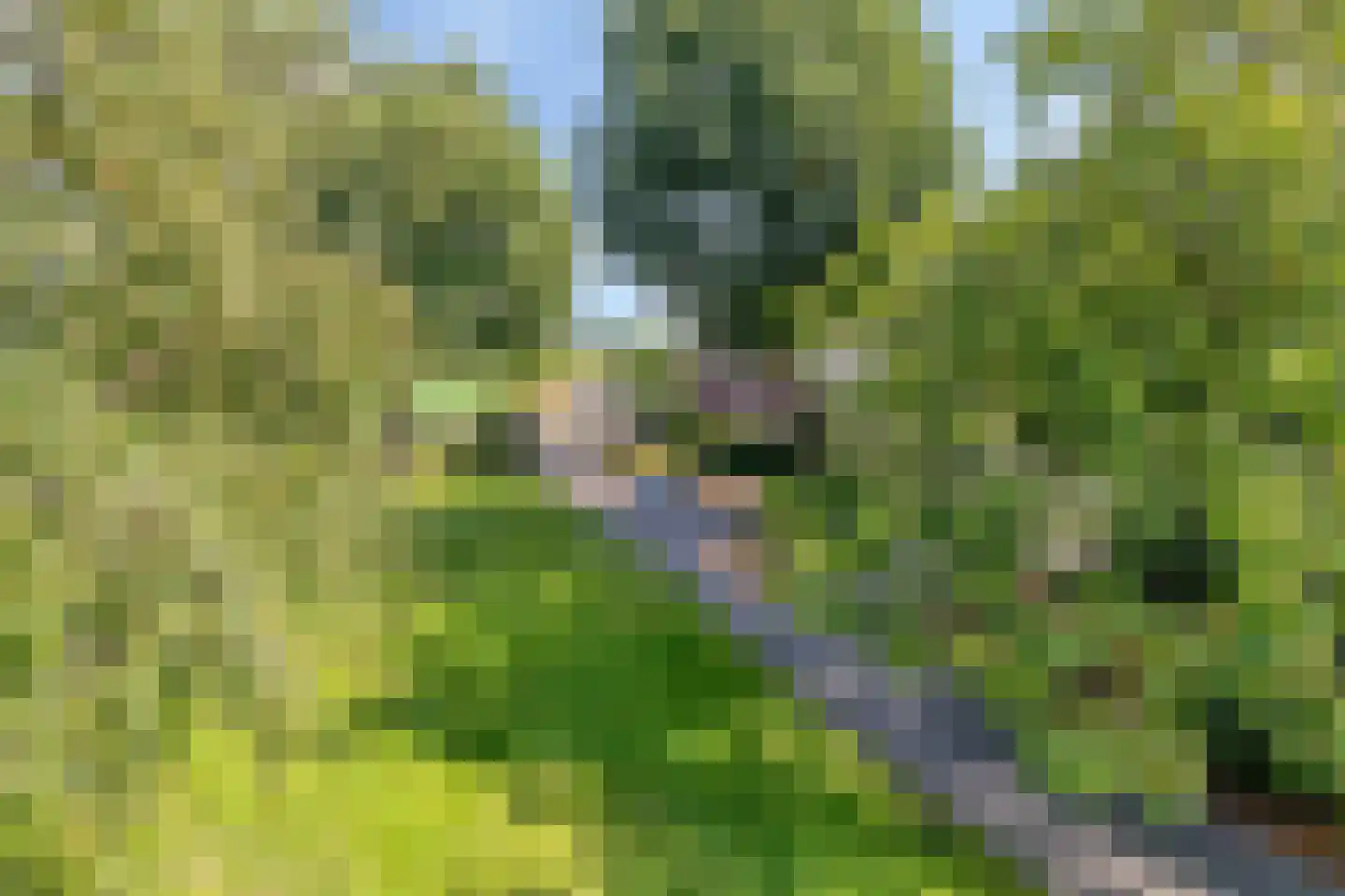Haart 7 Beugen thumbnail 67