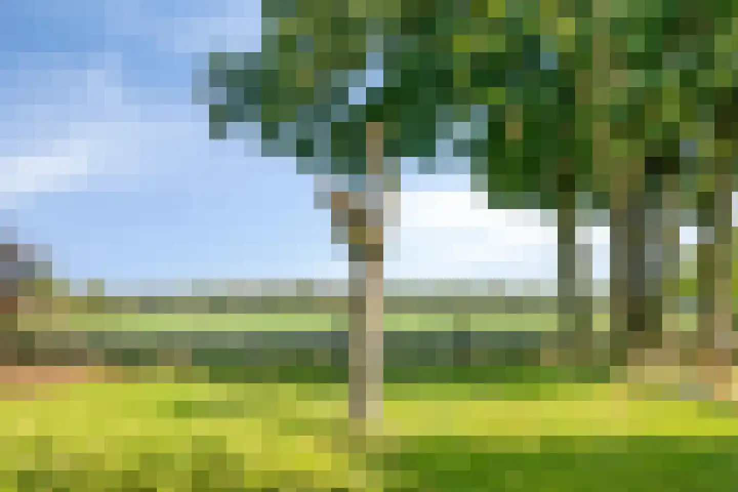 Haart 7 Beugen thumbnail 68