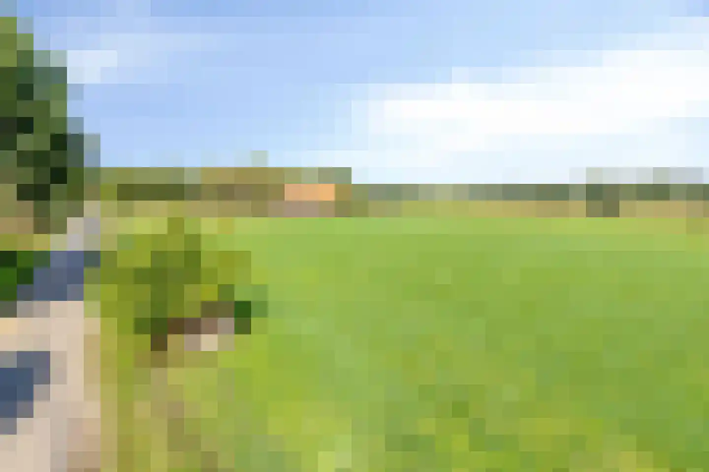 Haart 7 Beugen thumbnail 69