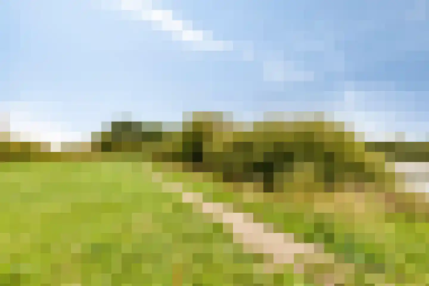 Haart 7 Beugen thumbnail 73