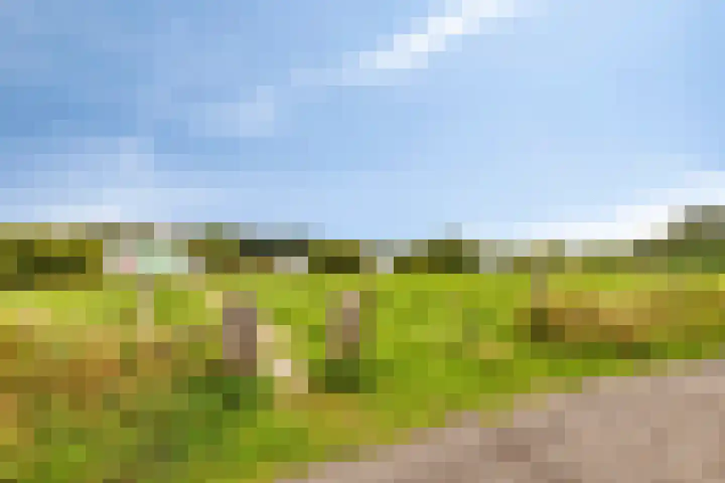Haart 7 Beugen thumbnail 74