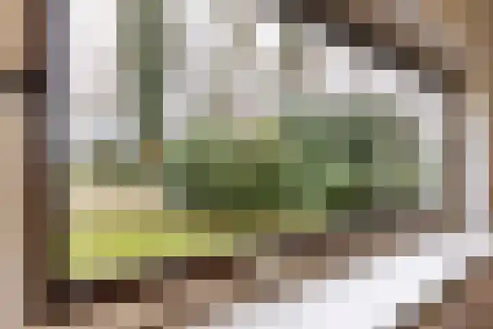 Haartsestraat 78 Aalten thumbnail 13