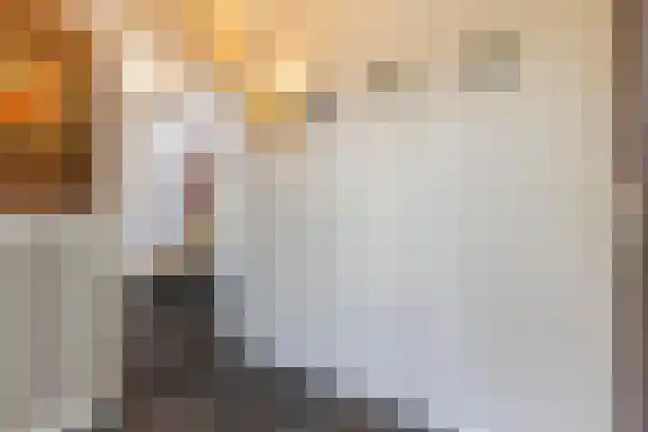 Haartsestraat 78 Aalten thumbnail 29