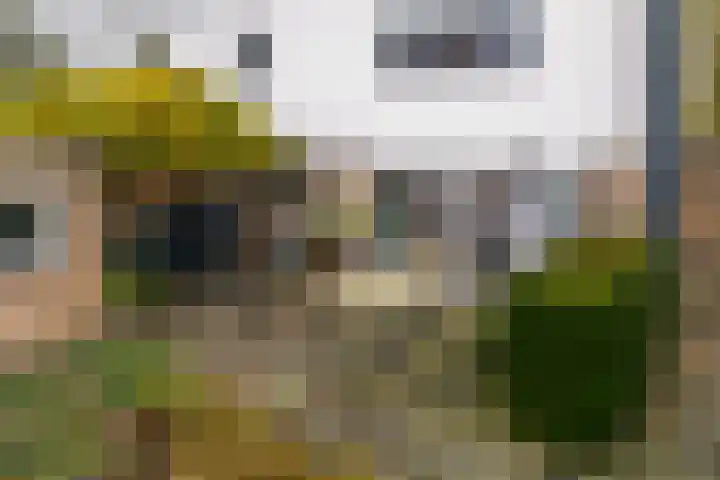 Haartsestraat 78 Aalten thumbnail 53