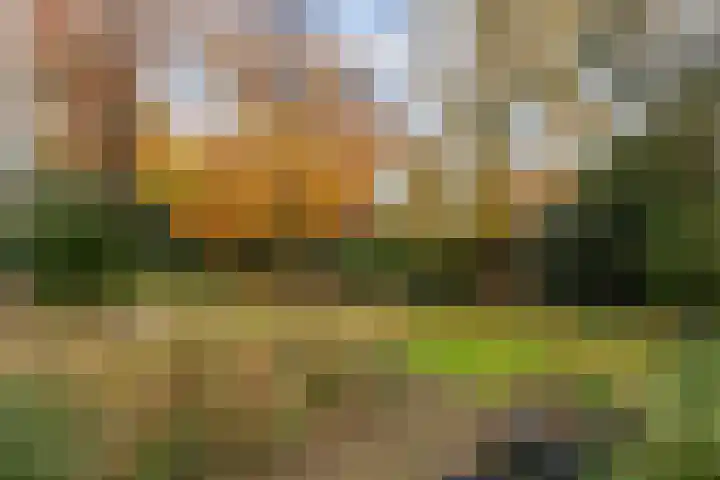 Haartsestraat 78 Aalten thumbnail 59
