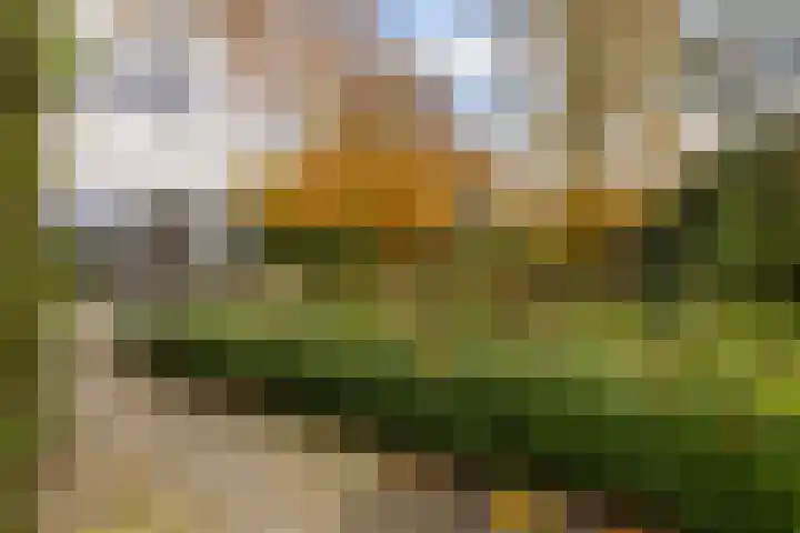 Haartsestraat 78 Aalten thumbnail 61