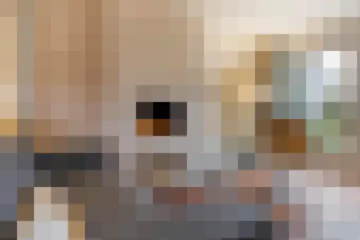 Haartsestraat 78 Aalten thumbnail 9