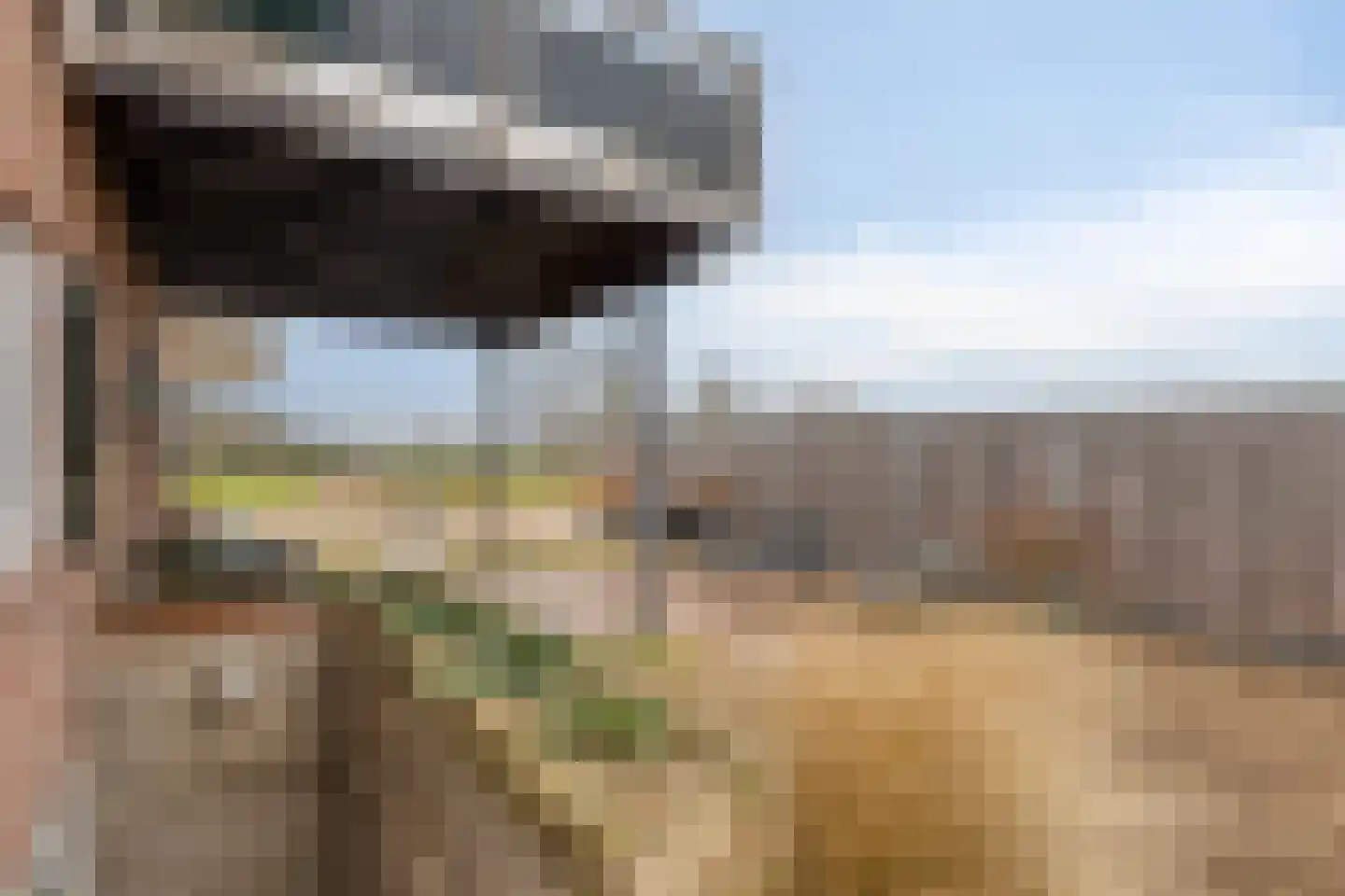 Haartseweg 11 A Aalten thumbnail 45