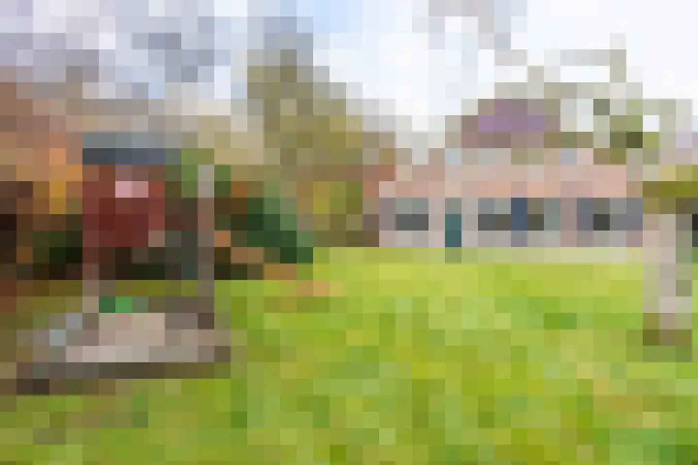 Haartweg 1 Winterswijk Miste thumbnail 10