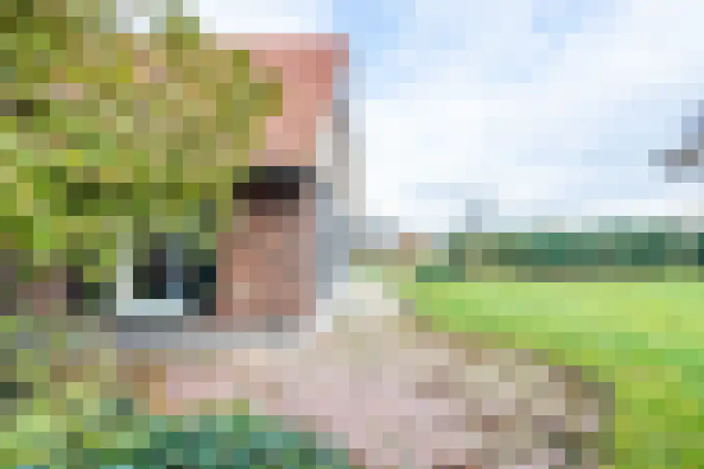 Haartweg 1 Winterswijk Miste thumbnail 14