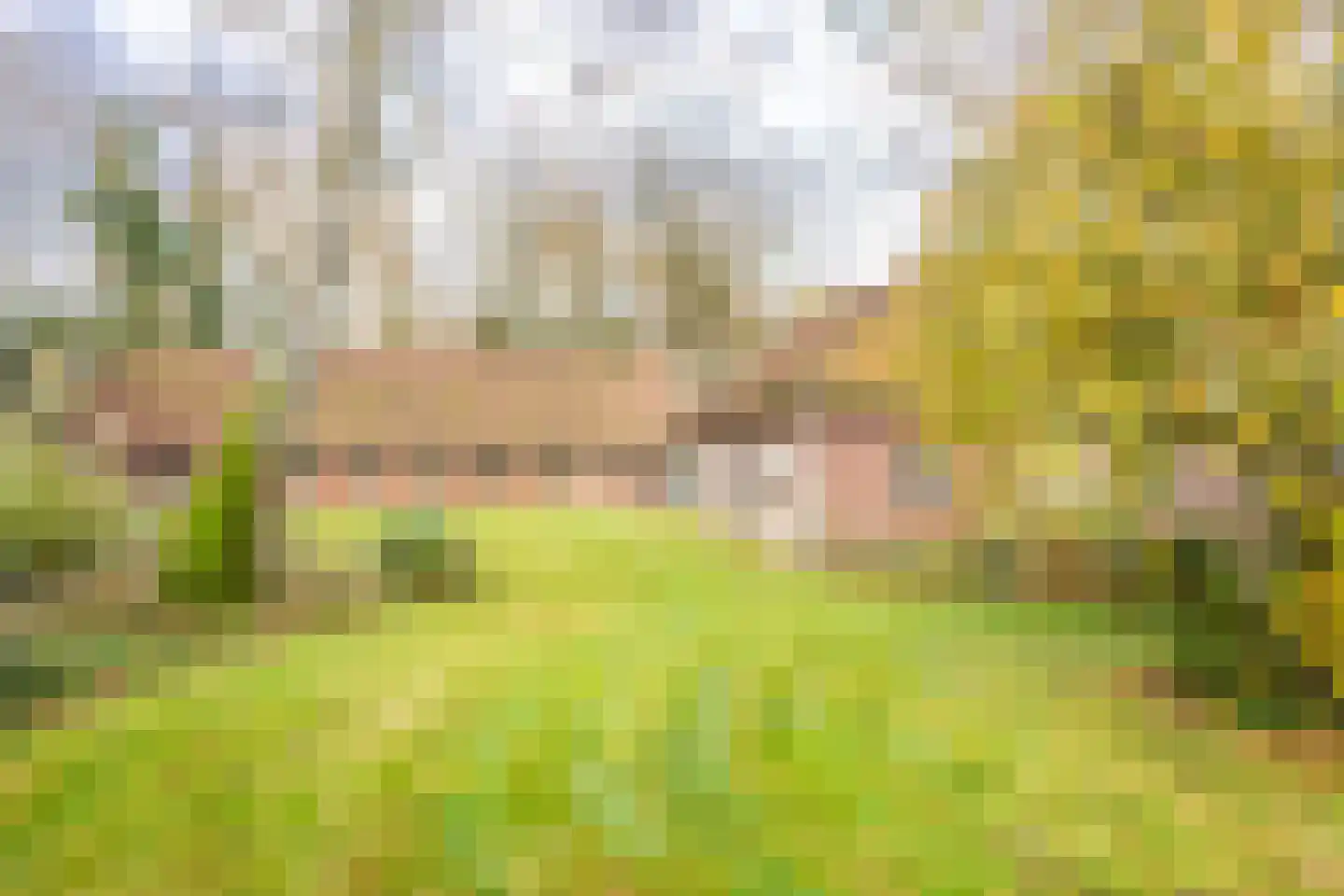 Haartweg 1 Winterswijk Miste thumbnail 15