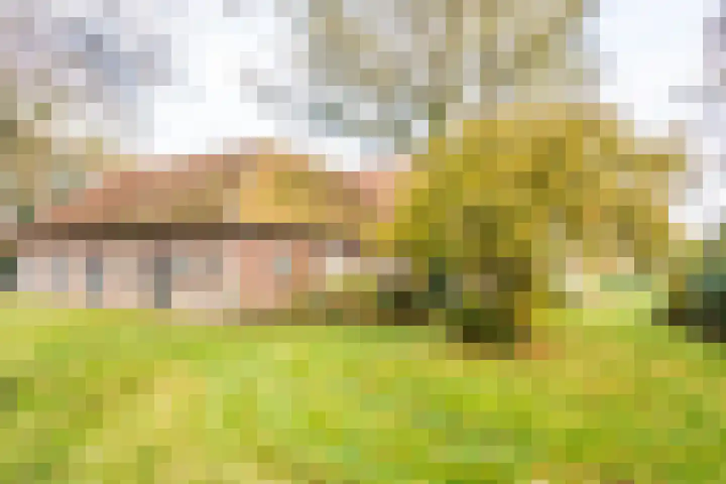 Haartweg 1 Winterswijk Miste thumbnail 16