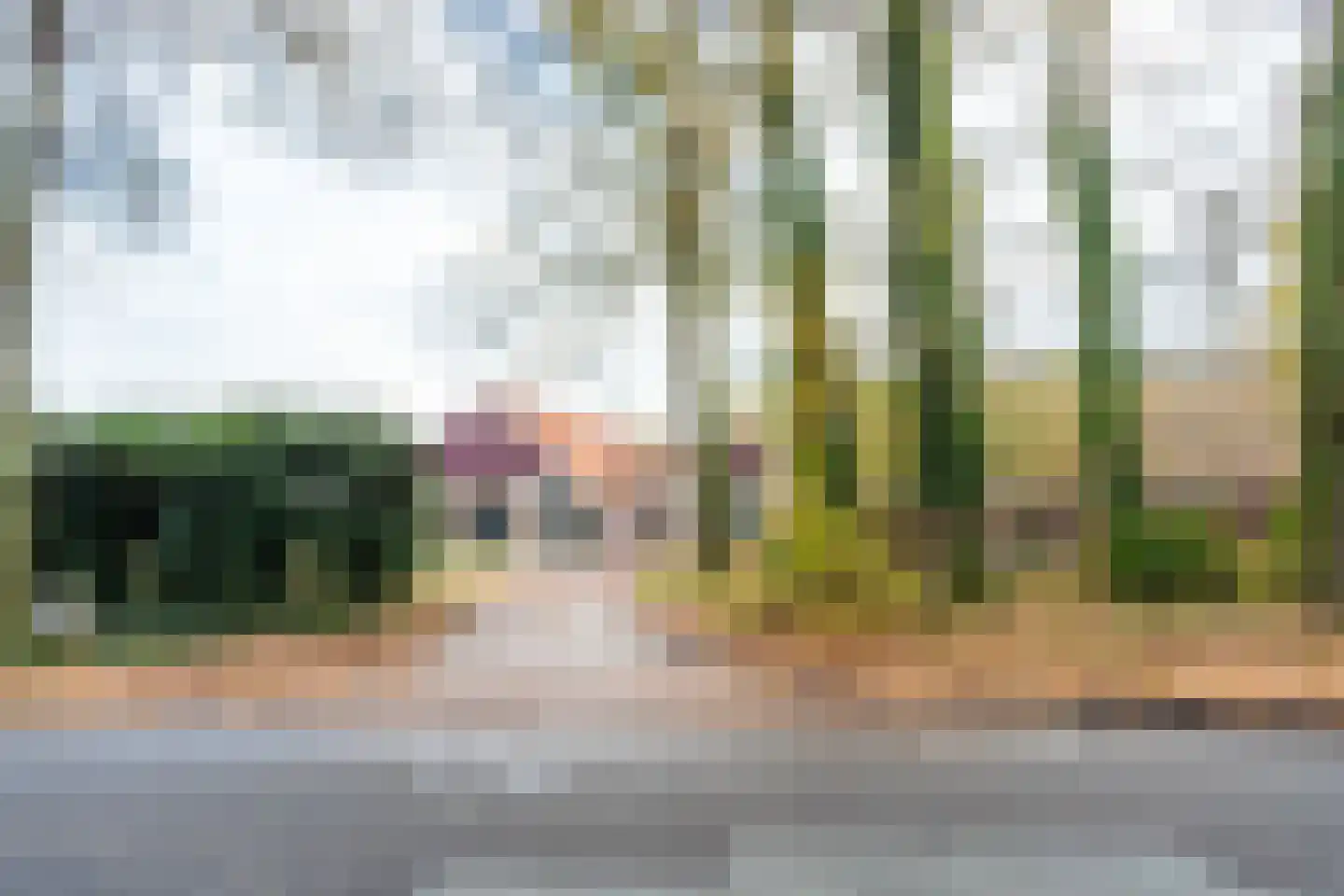 Haartweg 1 Winterswijk Miste thumbnail 21