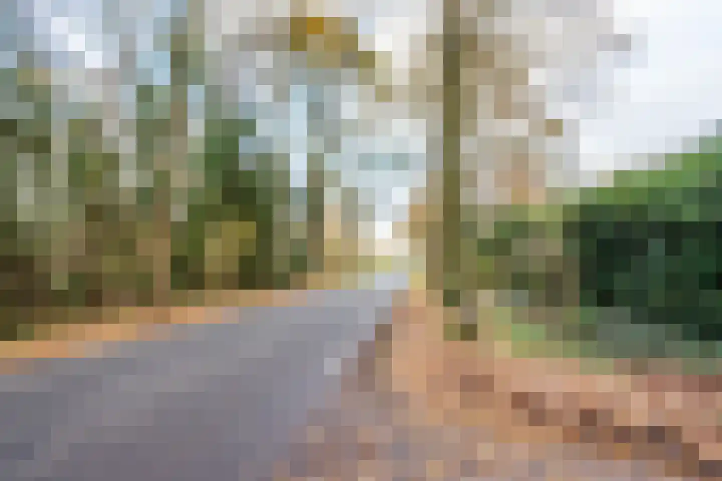 Haartweg 1 Winterswijk Miste thumbnail 22