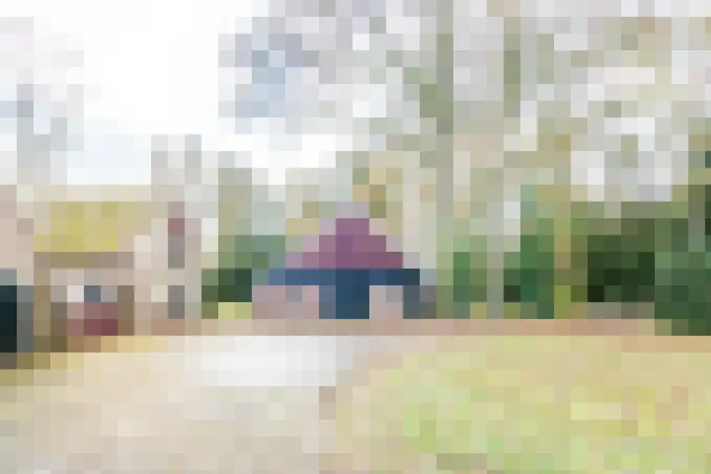 Haartweg 1 Winterswijk Miste thumbnail 5