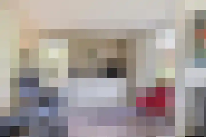 Haarveen 28 Foxwolde thumbnail 20