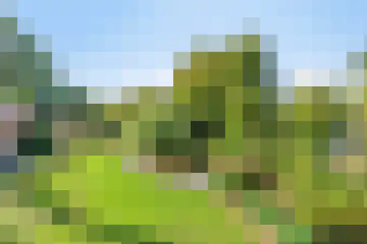 Haarveen 28 Foxwolde thumbnail 43