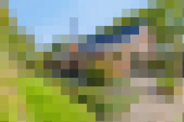 Haarveen 28 Foxwolde thumbnail 54