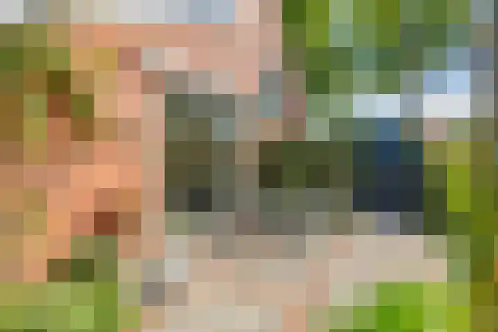 Haarveen 28 Foxwolde thumbnail 55