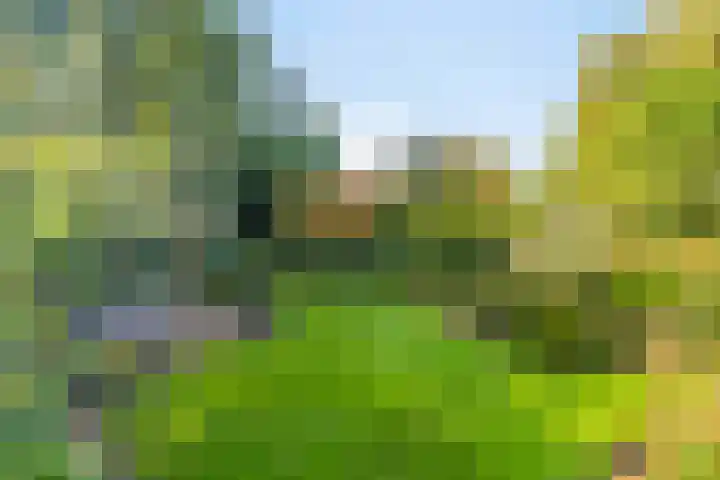 Haarveen 28 Foxwolde thumbnail 56