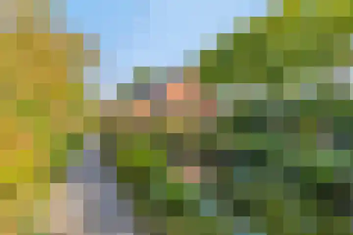 Haarveen 28 Foxwolde thumbnail 58